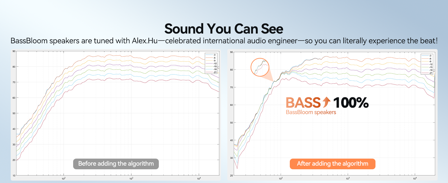 BassBloom Roar 1 Portable Bluetooth Speaker